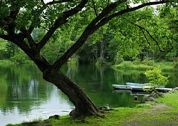 富良野不知名公園充滿靜的感覺